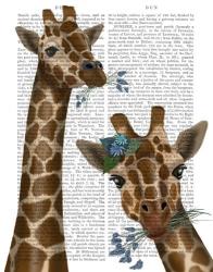 Chewing Giraffe Duo | Obraz na stenu