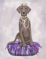 Weimaraner on Purple Cushion | Obraz na stenu