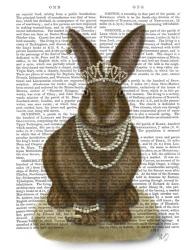 Rabbit and Pearls, Full | Obraz na stenu