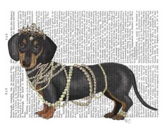 Dachshund and Pearls | Obraz na stenu