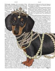 Dachshund and Tiara | Obraz na stenu