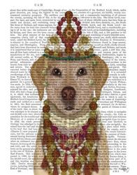 Yellow Labrador and Tiara, Portrait | Obraz na stenu