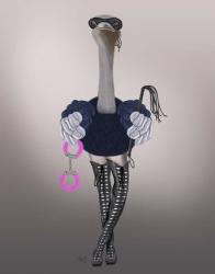 Ostrich with Kinky Boots | Obraz na stenu
