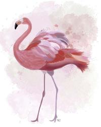 Fluffy Flamingo 1 | Obraz na stenu