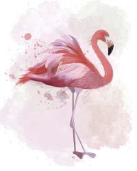 Fluffy Flamingo 2 | Obraz na stenu