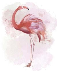Fluffy Flamingo 3 | Obraz na stenu
