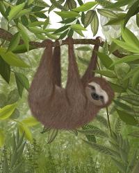 Sloth Hanging Around | Obraz na stenu