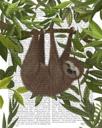 Sloth Hanging Around | Obraz na stenu
