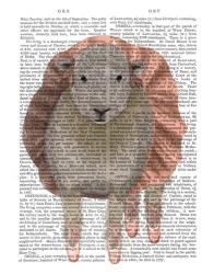 Ballet Sheep 1 Book Print | Obraz na stenu
