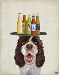 Springer Spaniel Brown White Beer Lover | Obraz na stenu