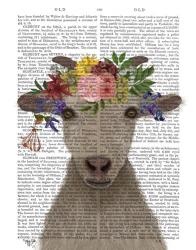 Goat Bohemian 1 Book Print | Obraz na stenu