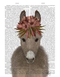 Donkey Bohemian 1 Book Print | Obraz na stenu
