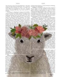 Sheep Bohemian 1 Book Print | Obraz na stenu
