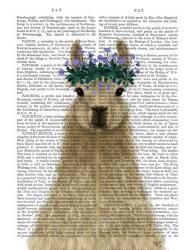 Llama Bohemian 1 Book Print | Obraz na stenu