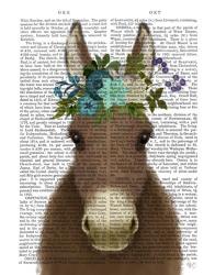 Donkey Bohemian 3 Book Print | Obraz na stenu