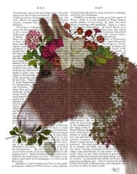 Donkey Bohemian 5 Book Print | Obraz na stenu