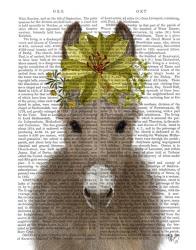 Donkey Sunflower Book Print | Obraz na stenu