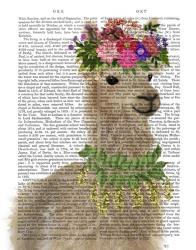 Llama Bohemian 2 Book Print | Obraz na stenu