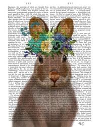 Rabbit Bohemian Book Print | Obraz na stenu
