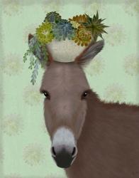 Donkey Succulent | Obraz na stenu