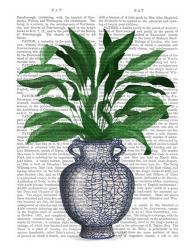 Chinoiserie Vase 2, With Plant Book Print | Obraz na stenu