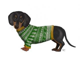 Christmas Des - Dachshund and Christmas Sweater | Obraz na stenu