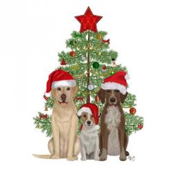 Christmas Des - Dog Trio Christmas Tree | Obraz na stenu