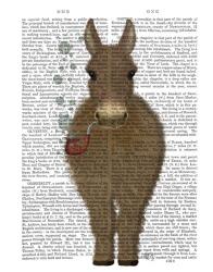 Donkey Bubble Pipe, Full Book Print | Obraz na stenu