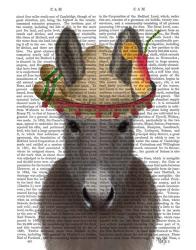 Donkey Sombrero Book Print | Obraz na stenu
