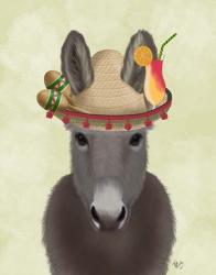 Donkey Sombrero | Obraz na stenu