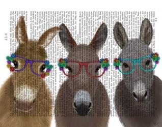 Donkey Trio Flower Glasses Book Print | Obraz na stenu