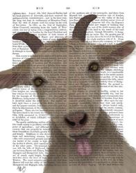 Funny Farm Goat 2 Book Print | Obraz na stenu