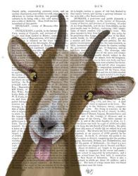 Funny Farm Goat 3 Book Print | Obraz na stenu