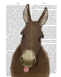 Funny Farm Donkey 1 Book Print | Obraz na stenu