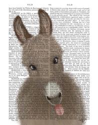 Funny Farm Donkey 2 Book Print | Obraz na stenu