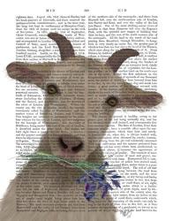 Goat and Bluebells Book Print | Obraz na stenu