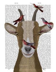 Goat and Red Birds Book Print | Obraz na stenu