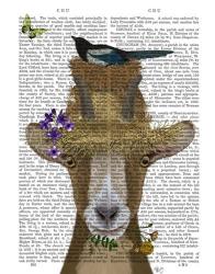 Goat In Straw Hat Book Print | Obraz na stenu