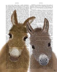 Donkey Duo, Looking at You Book Print | Obraz na stenu