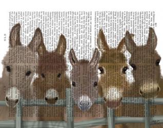 Donkey Herd at Fence Book Print | Obraz na stenu