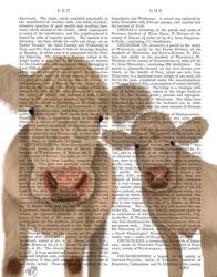 Cow Duo, Cream, Looking at You Book Print | Obraz na stenu