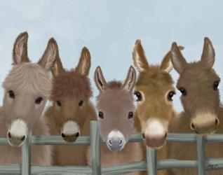 Donkey Herd at Fence | Obraz na stenu