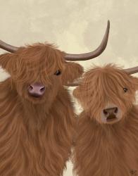Highland Cow Duo, Looking at You | Obraz na stenu
