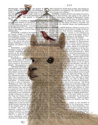 Llama and Birdcage Book Print | Obraz na stenu