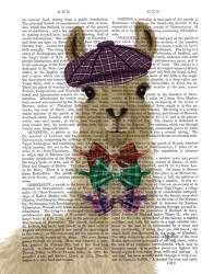 Llama Dapper Book Print | Obraz na stenu