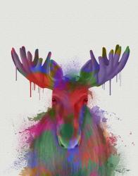 Moose Rainbow Splash | Obraz na stenu