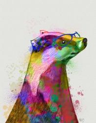 Badger Rainbow Splash 2 | Obraz na stenu