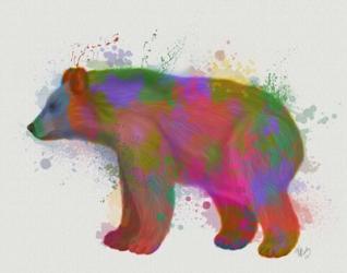 Bear Rainbow Splash 2 | Obraz na stenu