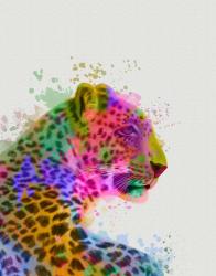 Leopard Rainbow Splash 1 | Obraz na stenu