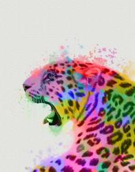 Leopard Rainbow Splash 2 | Obraz na stenu